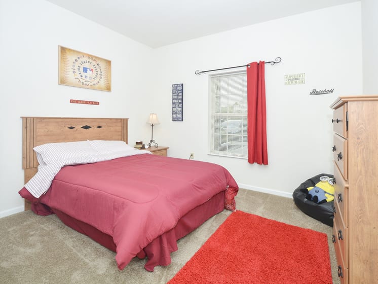Carpet in all Bedrooms
